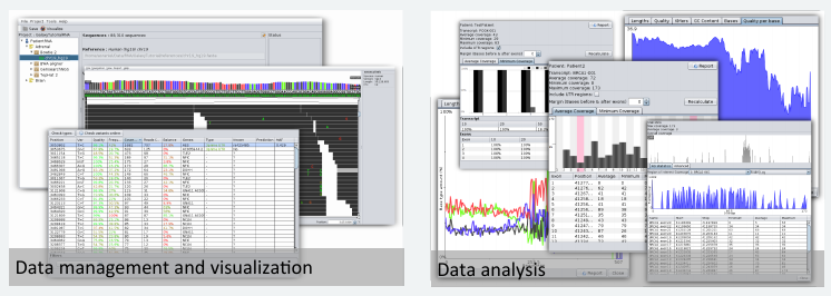 dna-analysis